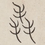 毳