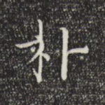 朴