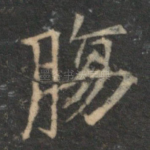 肠