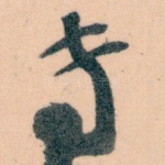 专