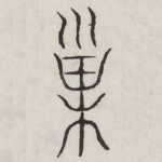 巢