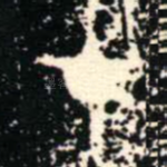 在