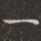 一