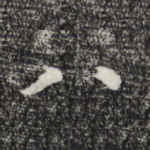 八