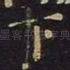 下