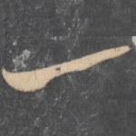 一