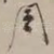 周
