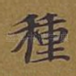 种