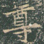 尊