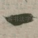 一