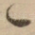 一