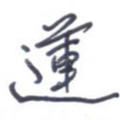 莲