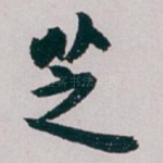 芝