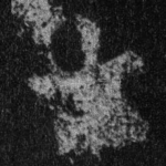 七