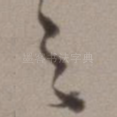 之