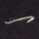 一
