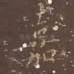 嘉