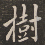 树
