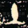 土