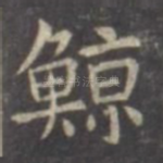 鲸