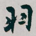 羽