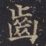齿