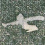 七