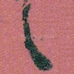 首