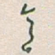 意