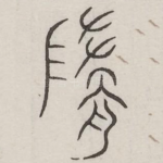 髓