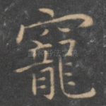 宠