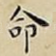 命