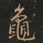 龜