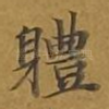 体