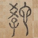 教