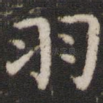 羽