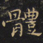 体