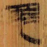 兔