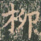 柳