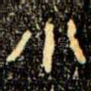 小