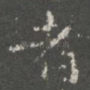 者