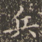 兵