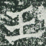 王