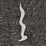 之