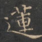 莲