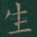 生