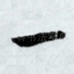 一
