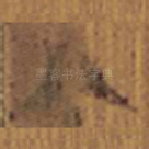 八