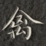 禽
