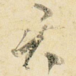 君